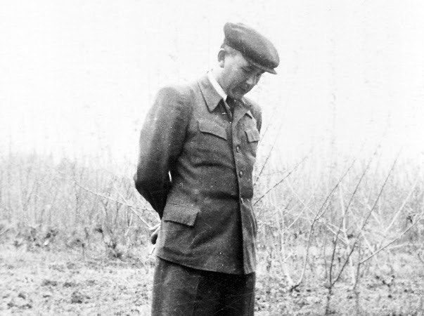 Inspecting the fields alone